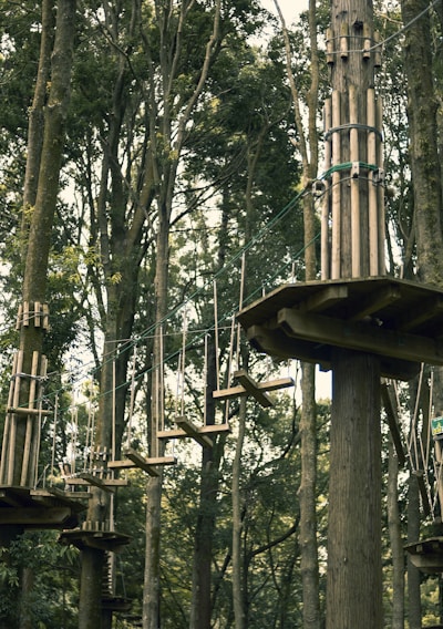 Wooden platforms are elevated and secured among tall trees in a dense forest. The platforms are interconnected with various suspended bridges and rope pathways high above the forest floor. Some of the pathways consist of planks and ropes that challenge balance and agility.