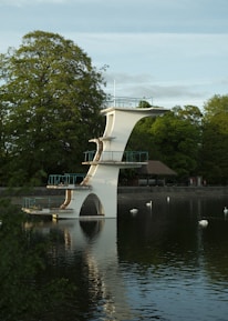 A tall, white diving platform stands over a calm body of water, surrounded by lush green trees. The platform has multiple levels and is reflected in the water below. Several swans are floating on the surface of the water, adding to the serene ambiance.